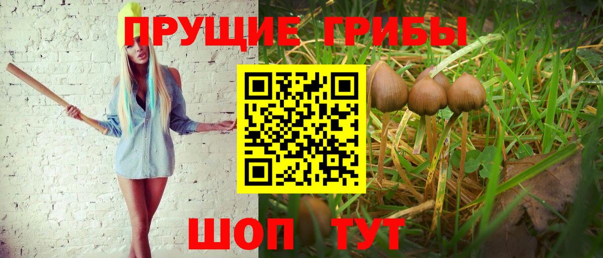 Галлюциногенные грибы Cubensis  Вход с VPN  Ялта 